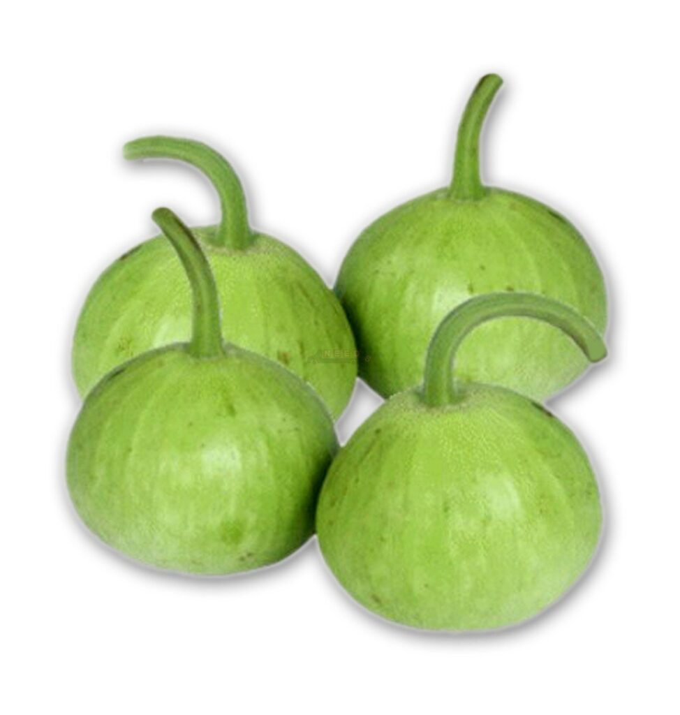 Bottle gourd Round Ghiya Hybrid pack of 15 seeds