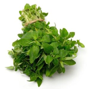 Oregano Pack of 20-30 Seeds F1 Imported